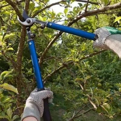 Istockphoto 545981930 170667a 1920w